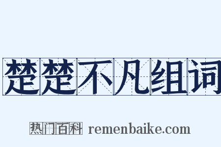 楚楚不凡组词是什么意思的图片